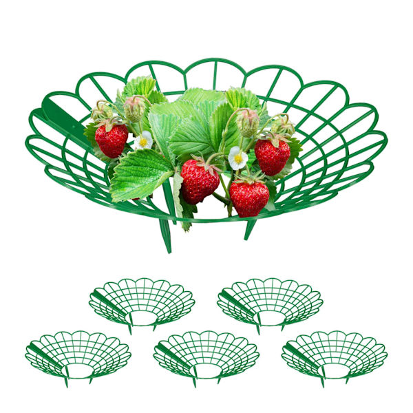 Strawberry Holder Set 380