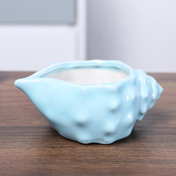 14 cm blå snäckskal ocean keramisk bas serie set suckulent växt