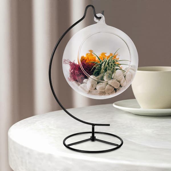 Ornament Display Stativ Holder Jern Hængende Krog Holder Rack til Hængende Glasglob Luftplante