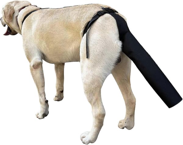 Tail Protector for Dogs, Tail Cover for Wounds Black Dog Harness