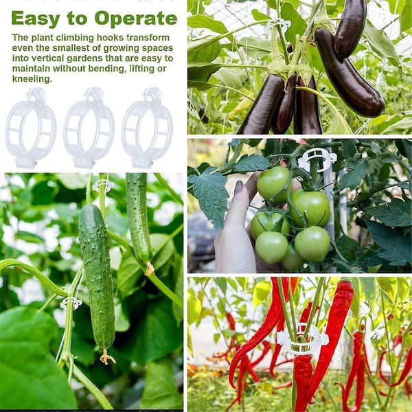 40 st Tomatkrokar med snöre, tomatstödkrokar, tomathållarkrokar & växtstödklämmor med [DB] Silver  white Silver  white