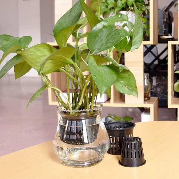 25 pcs Plant Basket Black Hydroponic Pot Durable Eco-friendly Plastic Suitable for Cloning Machine High Quality Brand New