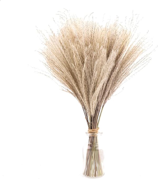 30 stk./pakke 40 cm kunstig tørret pampasgræs boho stil boligindretning