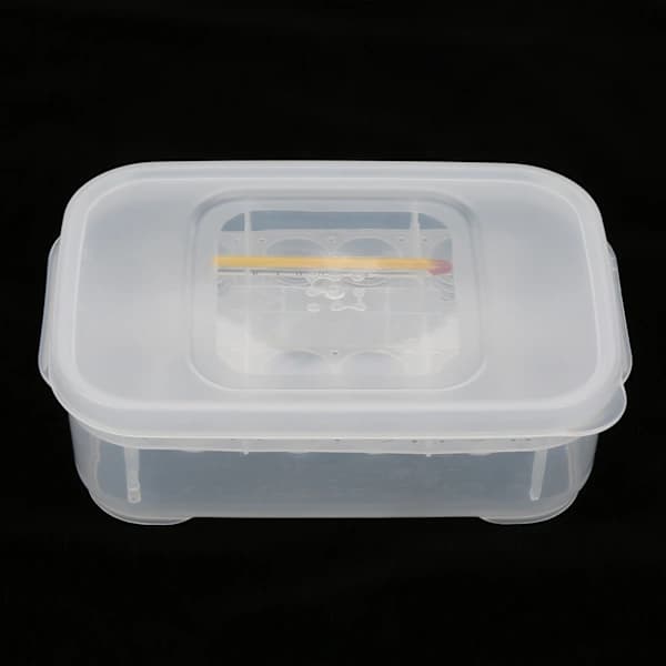 Realize Dreams, Egg Incubator Designed For Reptile Shops, Reptile Hatching Box With Suspended Tray Promotes Improved