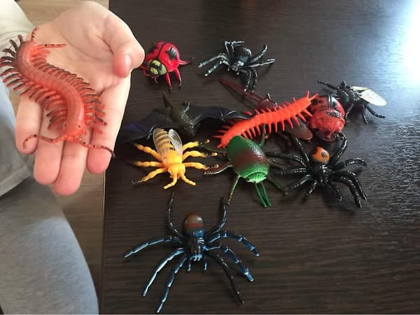 Assorted Lifelike Insects - Kids Biology Science Stem Toys Gift - Rubber Realistic Insect Models