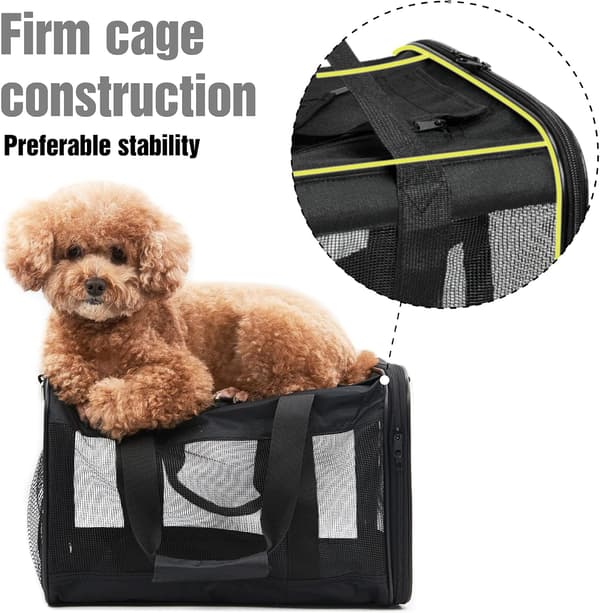 Pet Carrier, Soft, Foldable, Durable, Airline Approved (M) M M