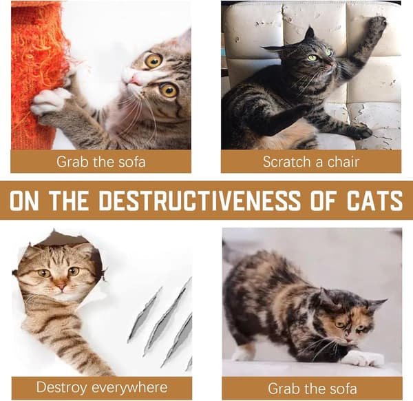 Anti-scratch sheets for cats and dogs - 6 pieces scratch protection stickers - 45 x 30 cm