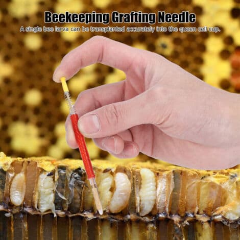 25 Pieces Beekeeping Larva Grafting Needles Queen Bee Rearing Tool Beekeeping Equipment