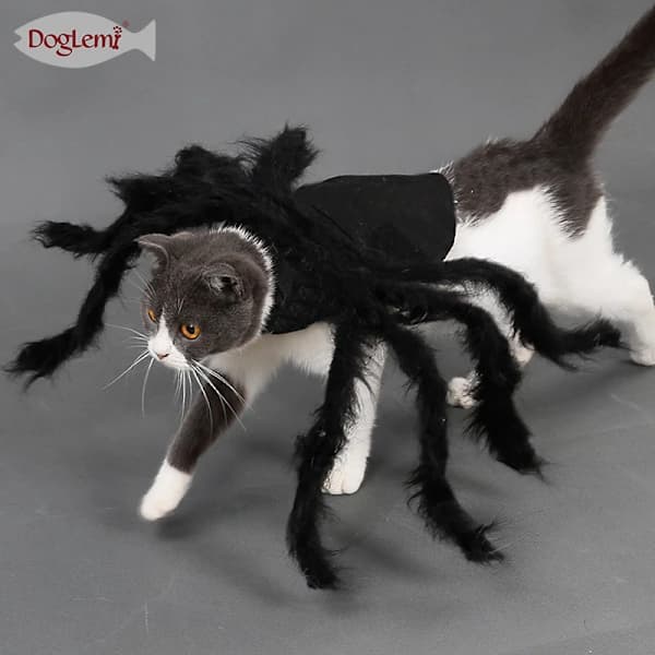 Halloween Dekoration Kæledyrstøj Edderkop Hvalp Kat Skræk