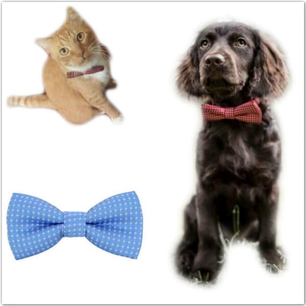 Justerbar butterfly til hund, kat, kæledyr, 10x5cm, 4 -