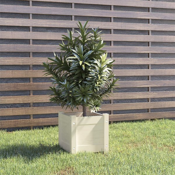 Plant box white 31x31x31 cm solid pine