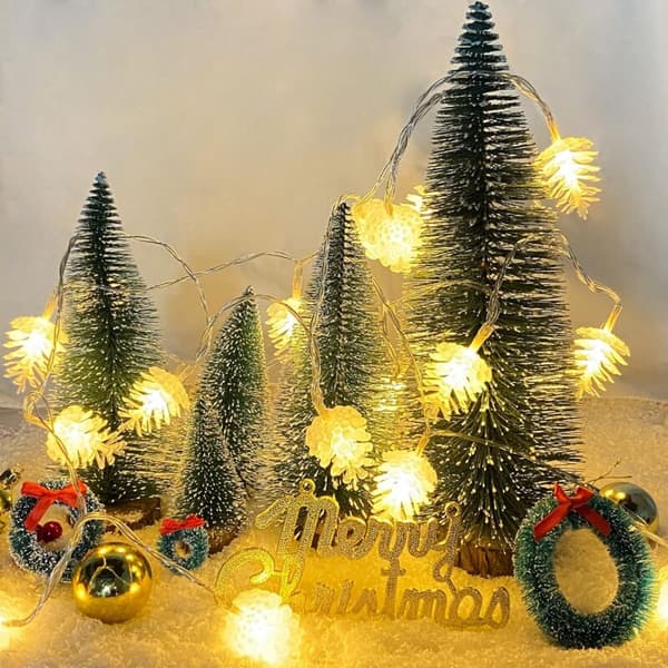 Pine Cone String Lights, 6M 40 LED String Lights USB LED String Lights for Indoor/Outdoor/Festival/Christmas/Garden/Wedding