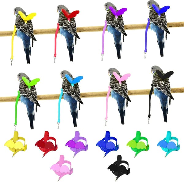 Harness and Leash for Pet Parrots, Adjustable Anti-Bite Training Design