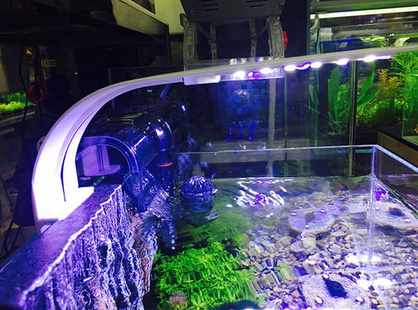 Ultratank LED-lampe til små akvarier, akvarielyslampe w