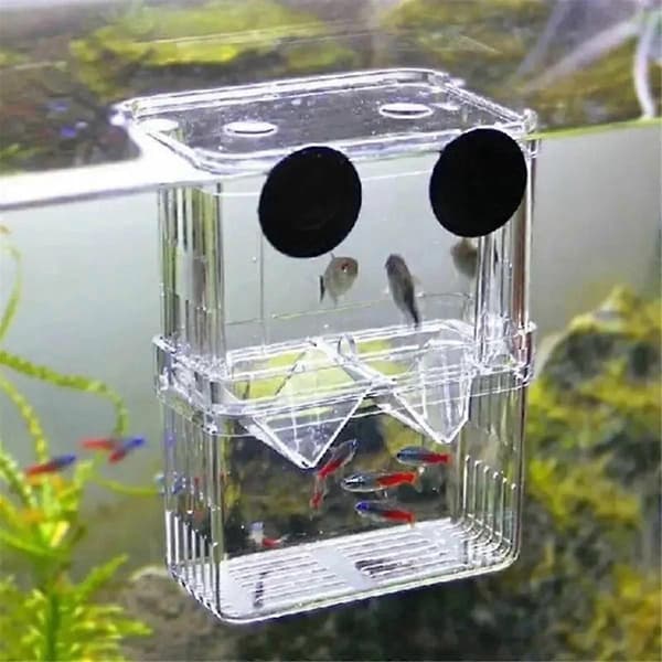 Aquarium Fish Breeding Box Durable Bettas Fish Tank Fish Farming Isolation Box Hatching Incubator Box