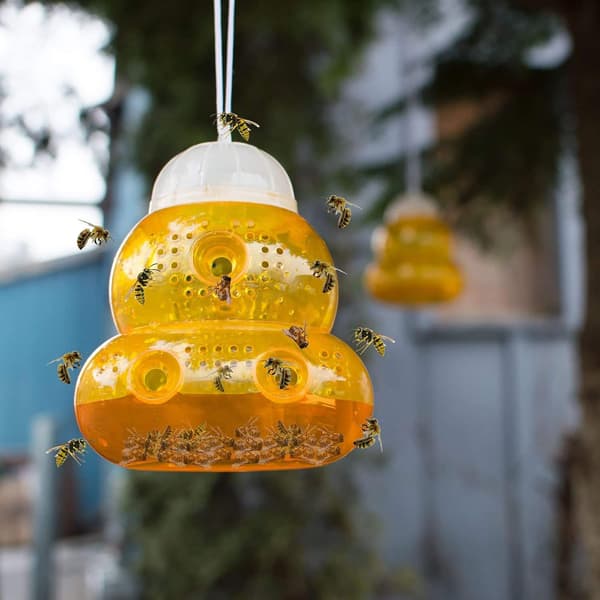 Getingfälla / Hängande getingfälla (2-pack) Orange Piège - Naturlig och ekologisk getinglösning