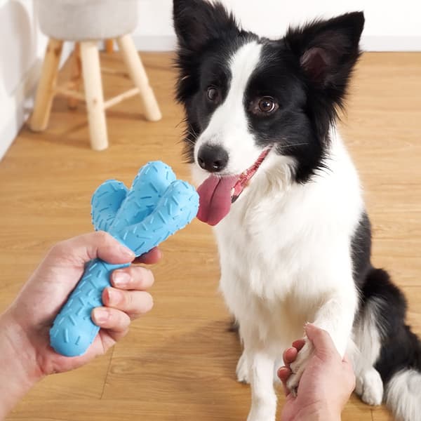 Hundtyggeleker, Holdbare gummityggeleker for aggressive tyggere, C