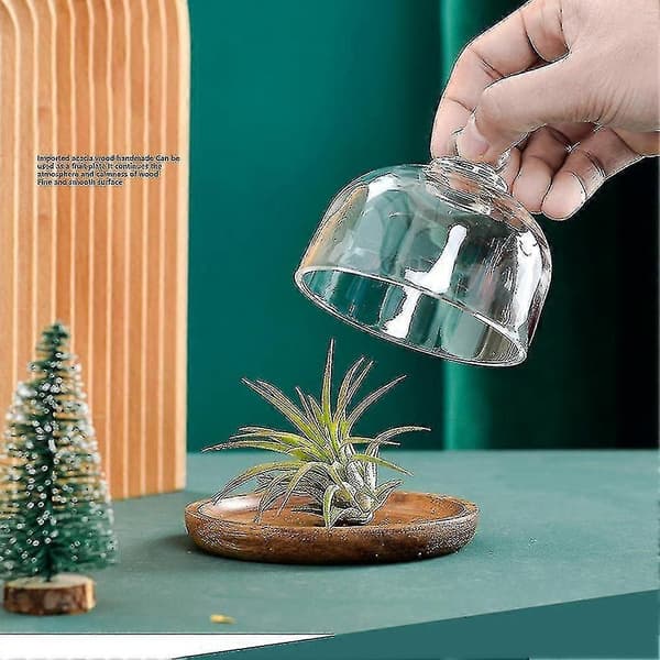 Multifunksjonell Mini Dessert Serveringsstativ Kakefat Med Kuppellokk Fat Kakefat Hotell (4 stk)