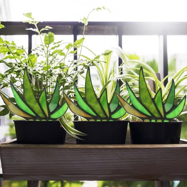 Målad Akryl A Gav Aloe Ruukkukasvi Plug-in Kodin Sisustus