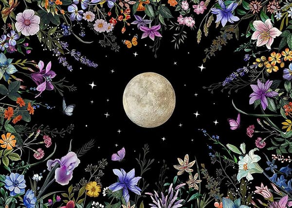 Plant Moon Diamantmaleri-sæt til voksne