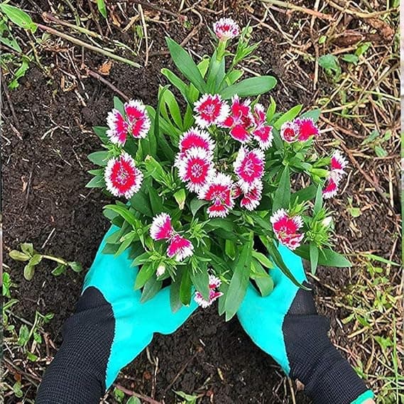Havehandsker, velegnede til plantning, havehandsker klo bedste havegave