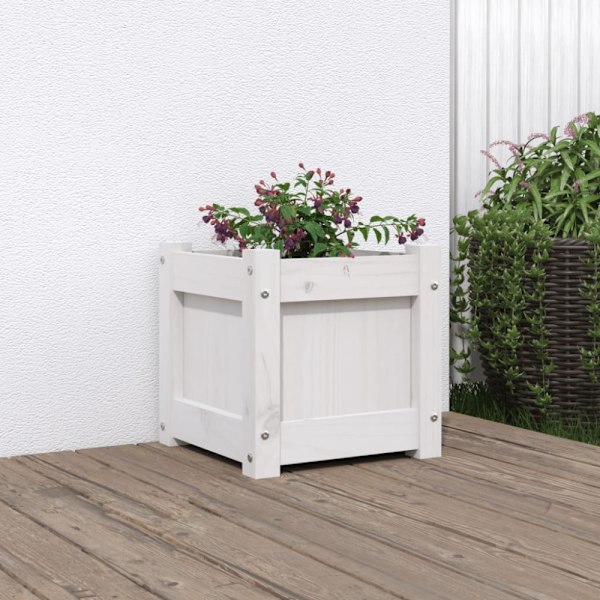 Plant box white 31x31x31 cm solid pine