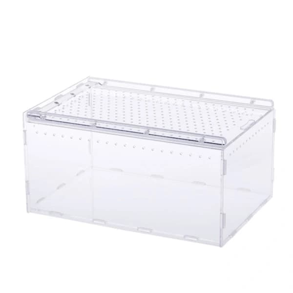 Akryl terrarium til krybdyr, insekter, taranteller, snegle, edderkopper
