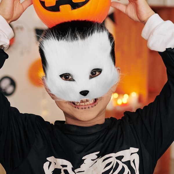 Realistisk genanvendelig rævemaske Halloween og plastfiber med langt hår, der matcher til kostumefester maskeradebolde -