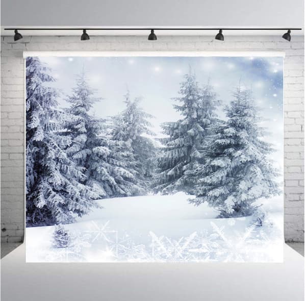 Christmas Photo Background, Wall Decoration 210 * 150 cm ph