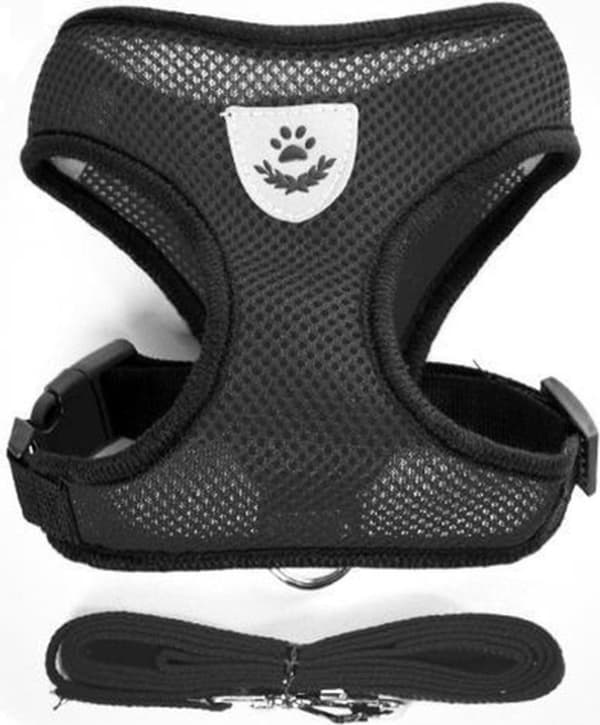 Cat Leash | Black Cat Harness | Easy to Step In | Size M | Easy to Put On and Take Off