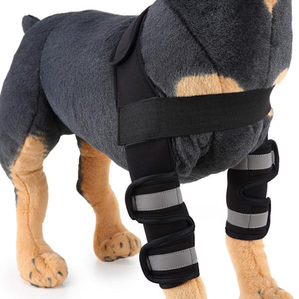 Dog Leg Protector for Front Legs, Compression Bandage, Provides Extra Support for Hock Joint, Adjustable, Dog Care Blue Second Generation L Blue Second Generation L