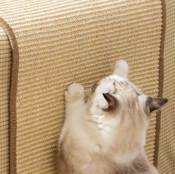 Klorematte Katt Klorematte Klorematter Sisal Sklisikker Kjæledyr og Sofa Klorematter Lekematter Sovematter Kattedo 40 30