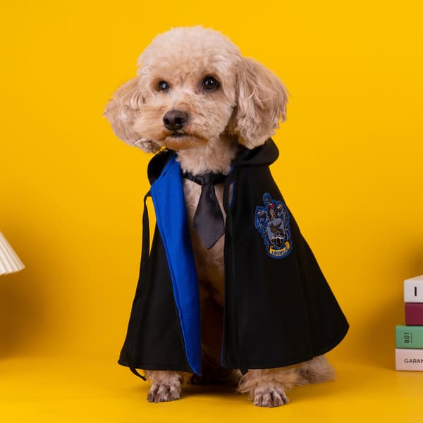 Hogwarts kæledyrsskole kappe Halloween kattekostume hundekostume