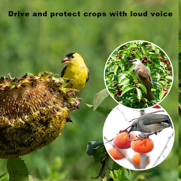 Solar-Powered Animal Repellent - Effective Wild Animal Deterrent