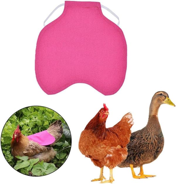 Single Strap Chicken Apron/Saddle Vest Hen Duck Wing Protector Standard Chicken Jackets Hen Aprons Poultry Care Supplies 5pcs-Rose Red