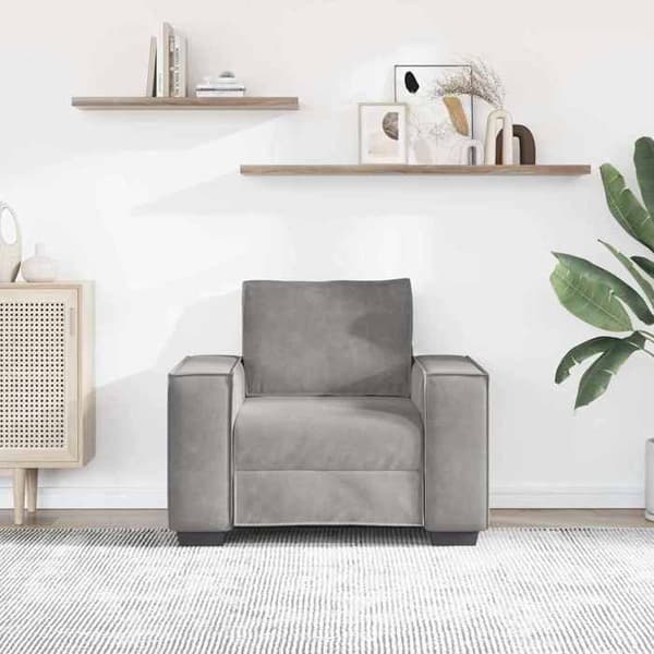 Maison Exclusive - Lysegrå Stol 100x78x84 cm Velour
