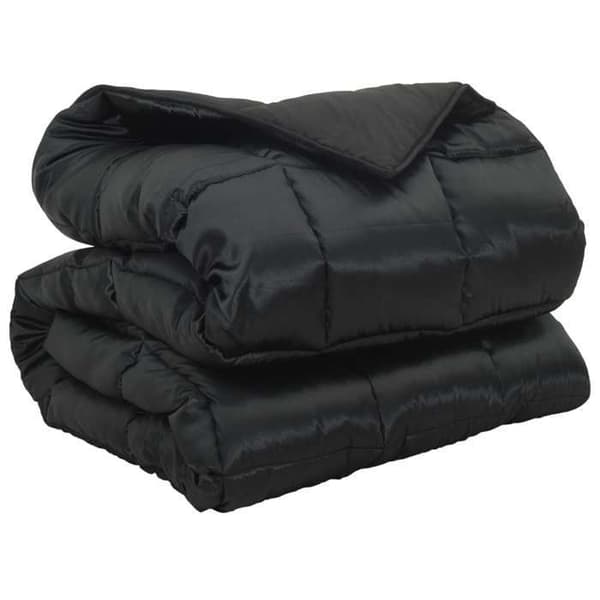 Maison Exclusive - Vinterdyne 220 x 240 cm 450 g/m² Sort