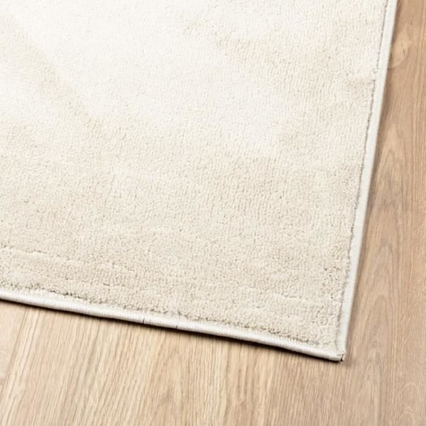 OVIEDO beige kort lugg matta 80x250 cm0 [cm] Beige