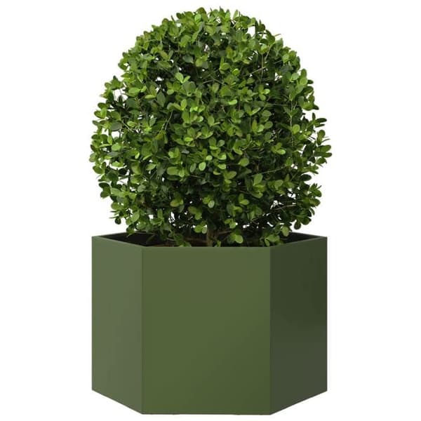 Maison Exclusive - Olivengrøn hexagonal plantekasse 69x60x45 cm stål