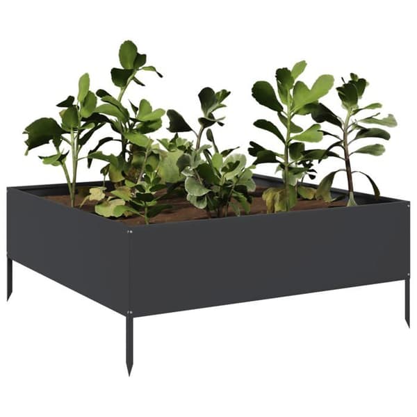 Maison Exclusive - Hævet havebed i sort 100x100x41 cm stål