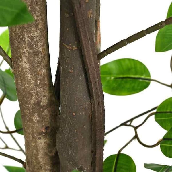 Konstväxt - EXKLUSIV HEM - Ficus 1260 blad - 200 cm - Grön - Blad PEVA Grön