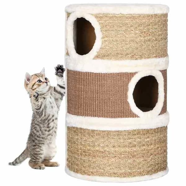 Maison Exclusive - Raapimispuu kissoille 60 cm Merilevät kastanj
