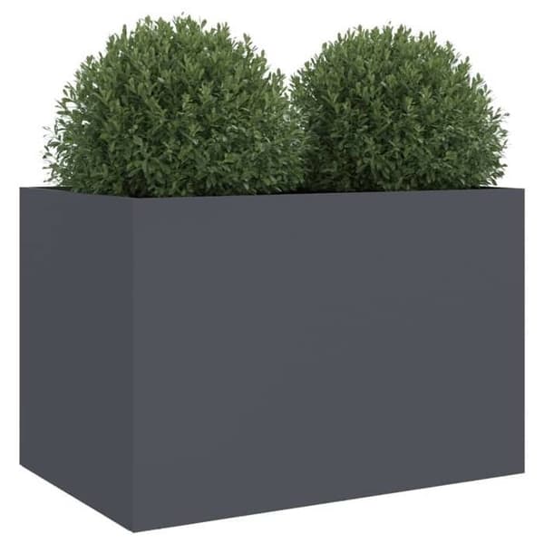 Maison Exclusive - Anthracite-kasvihuone 62x40x39 cm teräs antracit