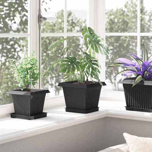 Blomsterbakke - EKSKLUSIV HUS - 15 x 15 x 2 cm - Sort - Plastik - Pakke med 24 stk. Sort