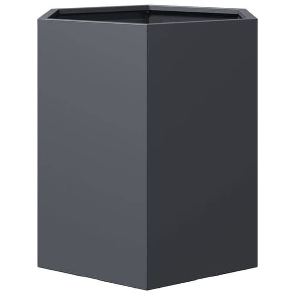 Maison Exclusive - Hexagonformad kruka anthracite 46x40x45 cm i stål