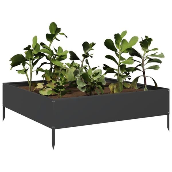 Maison Exclusive - Hævet havebed i sort 100x100x33,5 cm stål