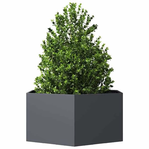 Maison Exclusive - Hexagonformad kruka anthracite 104x90x45 cm stål