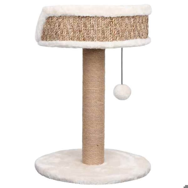 Maison Exclusive - Kattträd med klösträningar 49 cm Havsörter beige