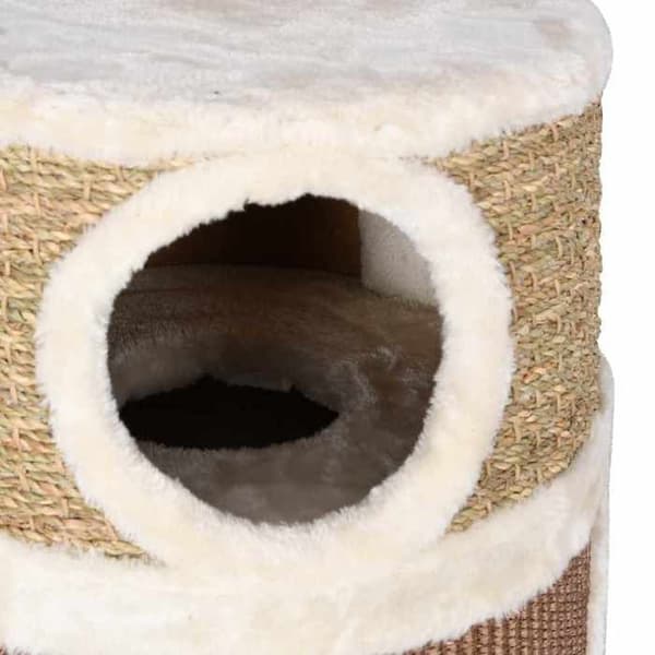 Maison Exclusive - Raapimispuu kissoille 60 cm Merilevät kastanj