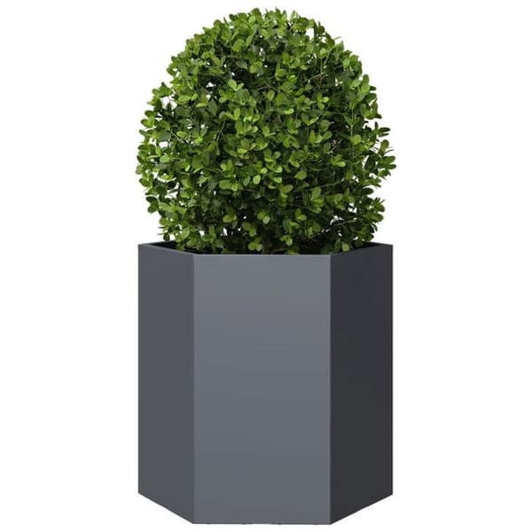 Maison Exclusive - Hexagonformad kruka anthracite 46x40x45 cm i stål